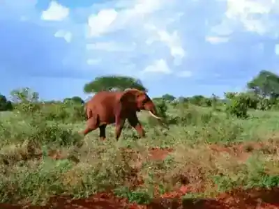 Beautiful Destination